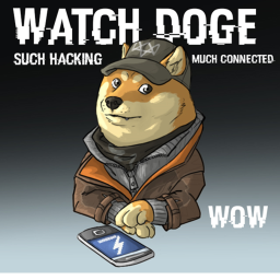 Doges & Dogez's Training Place