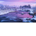 Winter Wonder Land~