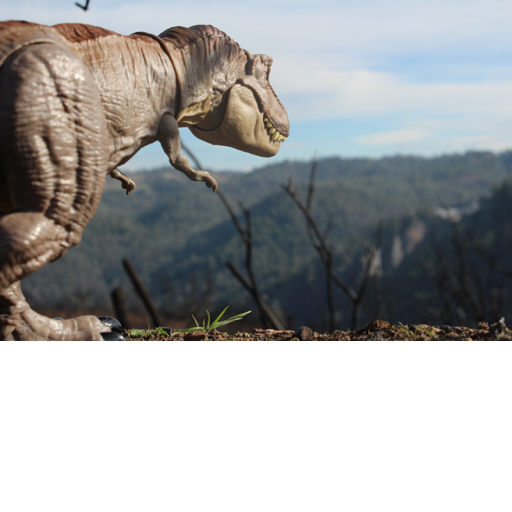 [The islands of the dinosaurs]                    