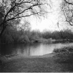 The Lakewoods