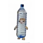 Gatito botella dona robux