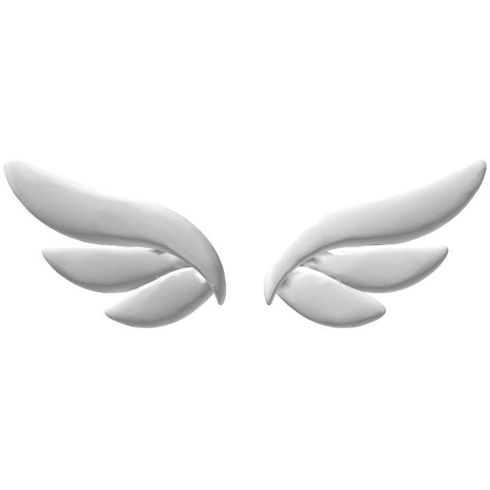 Cute White Angel Wings