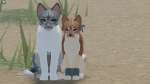 ≀— ʚ coastal shores ɞ —≀