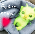 FELINE HEARTS