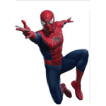 spoderman groop