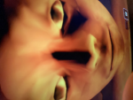 SophiaPlaysRoblox
