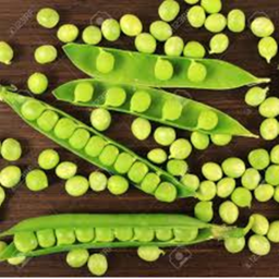 Pea Hangout