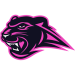Pink Panther Family