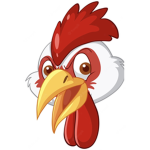ChickenPlayz1Yt Squad