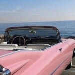 ✧･ﾟ: *✧･ﾟ:* 