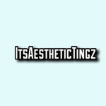 ItsAestheticTingz