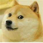 Call of Doges