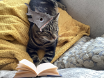Sharkies reading group