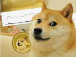 Doge finance