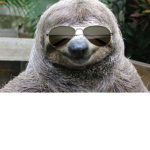swag and team sloth