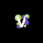 Verlaine Studio