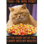 Candy Corn Family!!!!!!!