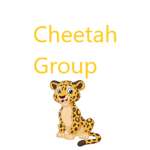 - Cheetah Group -