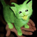 Glorb Zorp