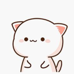 Kittykat,s group