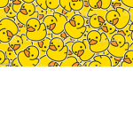 Koala :] Likes