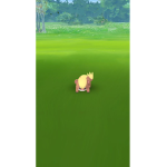 Poop rat skbabehe