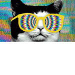 ~*Totally Rad*~