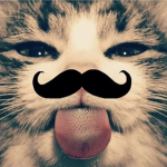 S0PHIASWISH