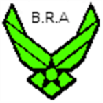 Brazilian Alliance
