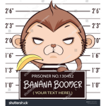 Monkey prisoner