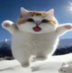 Ultimate Weedle