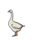 Goose’s Hangout