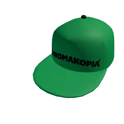 CHROMAKOPIA Hat - Tyler the Creator | Roblox Item - Rolimon's