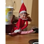 Elf on the shelf gruppe