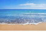 Beach Fun!
