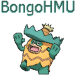 Bongo's Group