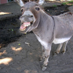 Survive Mule [SYSTEM REWORK V2]