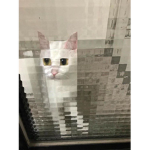 +_-Pixel Love-_+