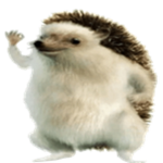 I Like Hedgehogs