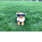 CHARLIE COOL GAMING GANG