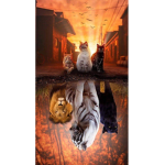 BabyCats Group