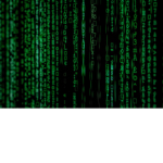 The Server Side Scripters