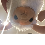 Sheep Fan Squad
