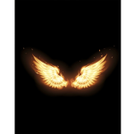 The Wings Club LOL