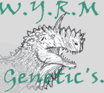 W.Y.R.M Genetics.