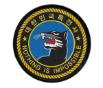 AAㅣ13th Special Mission Brigade