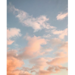 ...aesthetic...0878
