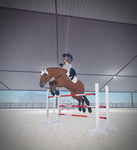 • Hickory Top Equestrian Team •