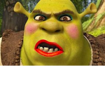 Shrek is super HOTT