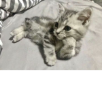 beautifullymars